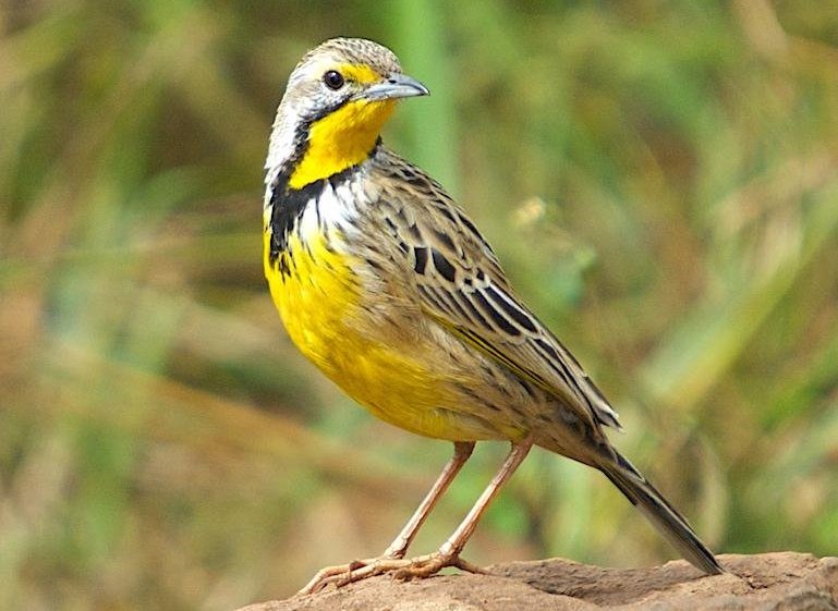 �ƺ���צ�n�_