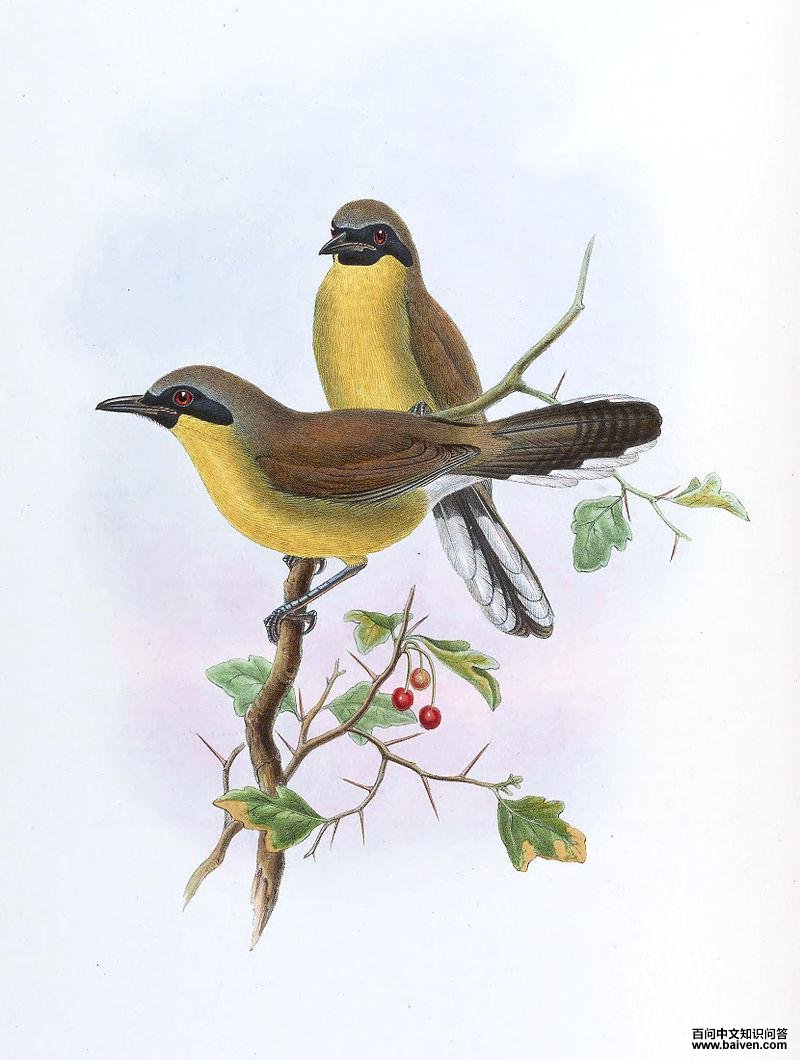 �ƺ����̵�ͼƬ