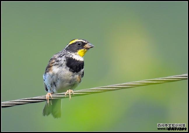 �ƺ��c������