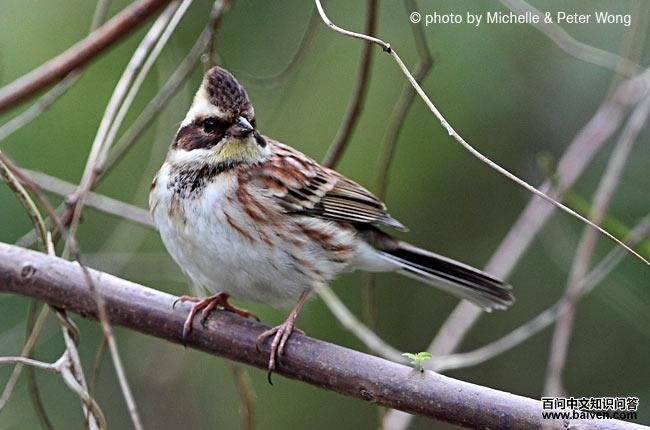 �ƺ��c�������ǳ���