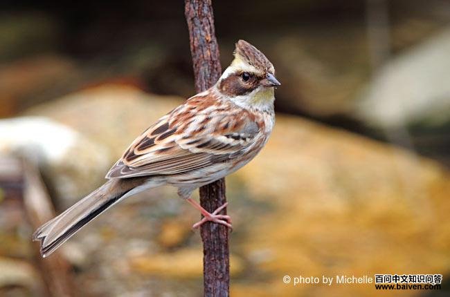 �ƺ��c�������ǳ���