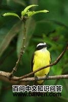 �ƺ��ð��l��ͼƬ