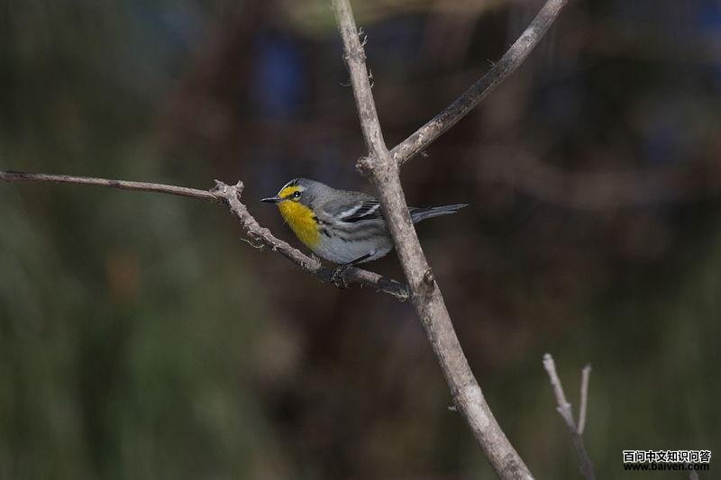 �ƺ���в��ݺ��ͼƬ