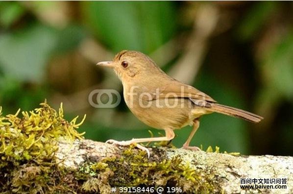 �ƺ����̵�ͼƬ