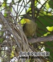 �ƺ����ǵ�ͼƬ