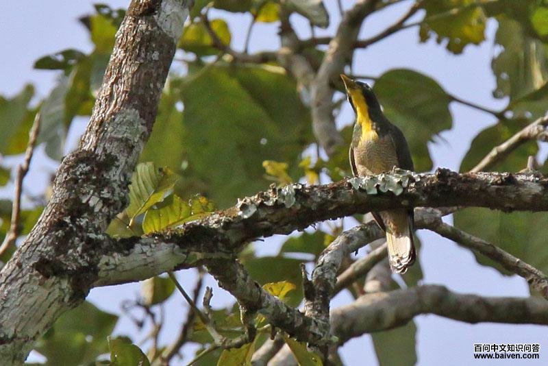 �ƺ�����ͼƬ