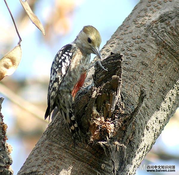 �ƹ���ľ���ͼƬ