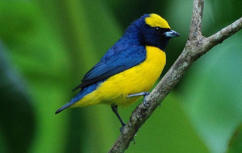 �ƹڸ�ȸ��ͼƬ