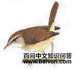 �Ƹ���ݺ��ͼƬ