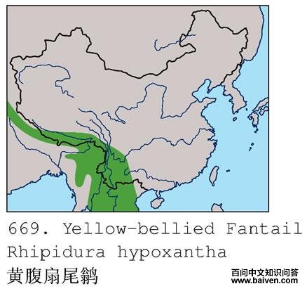 �Ƹ���β�l�����ֲ�ͼ