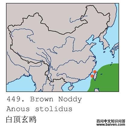 �׶�����Ÿ�����ֲ�ͼ