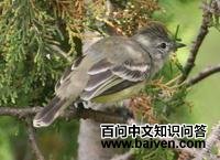 �Ƹ�����l