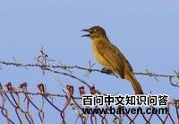 �Ƹ�����