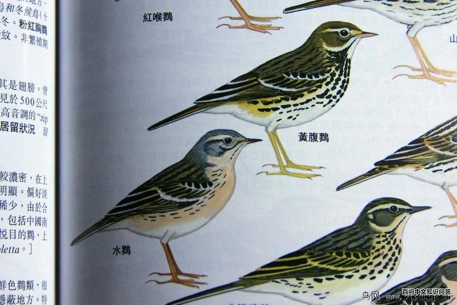 �Ƹ��Һ�ˮ�ҵ�����