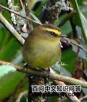 �Ƹ�����l