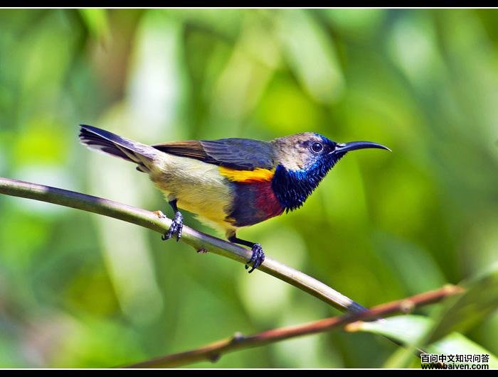 �Ƹ��������ͼƬ