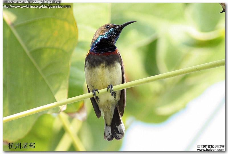 �Ƹ��������������ں������ǣ�