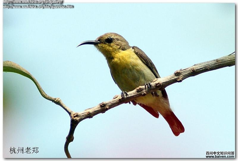 �Ƹ������񣺴������ں������ǣ�