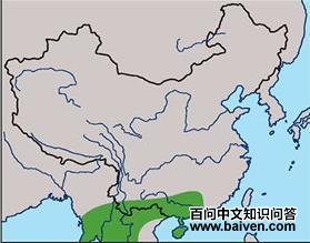 �Ƹ������񣺵����ֲ�ͼ