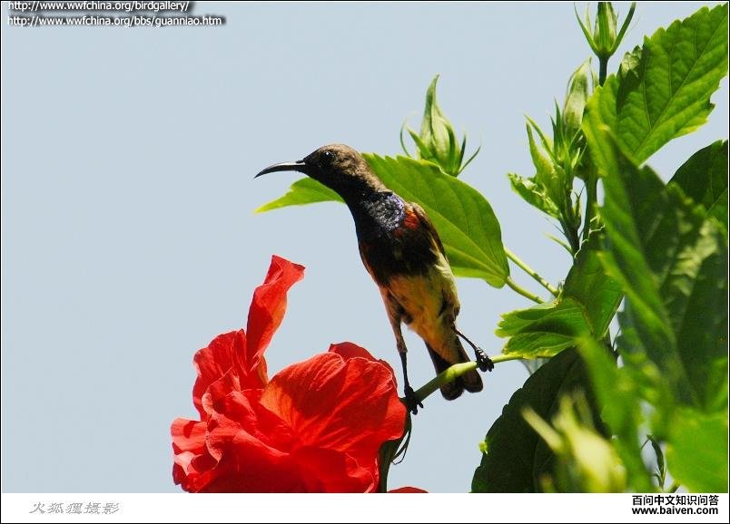 �Ƹ�������