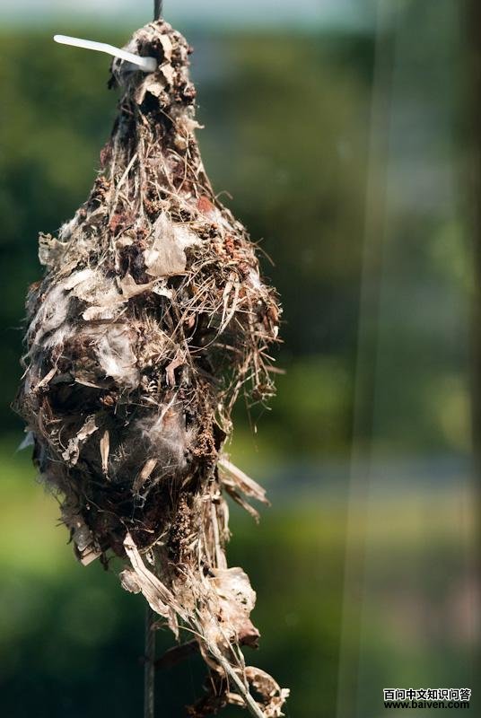 �Ƹ�����������