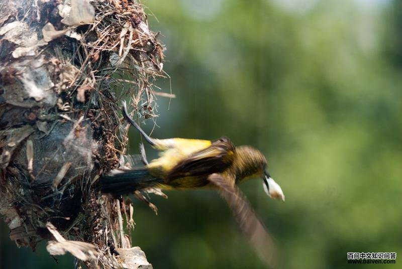 �Ƹ�����������