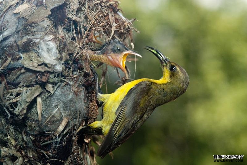 �Ƹ�����������