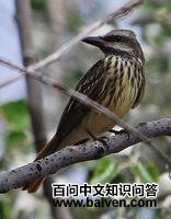 �Ƹ�������l