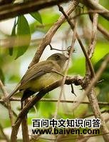 �Ƹ��Խ��l��ͼƬ