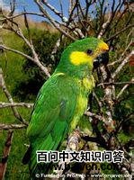 �ƶ��и��ͼƬ