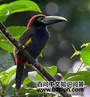 �ƶ�С������