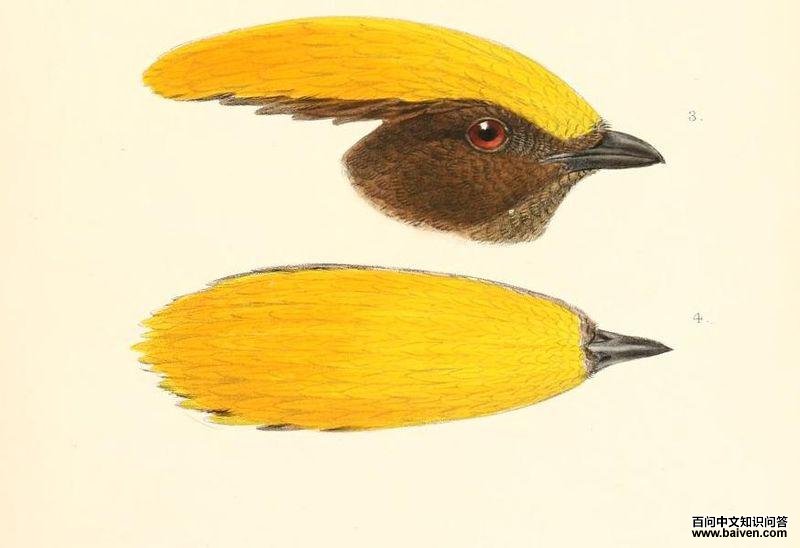 �ƶ�԰�����ͼƬ