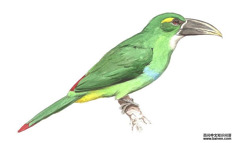 �ƶ�������ͼƬ