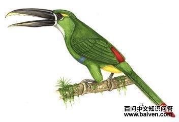 �ƶ������