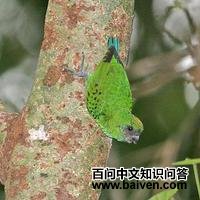 �ƶ�٪���ĵ�ͼƬ