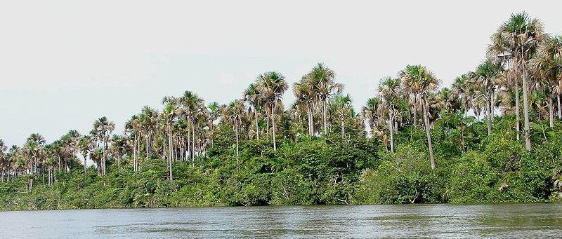 �ƶ�����ͼƬ