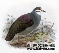 �ƶ�����ͼƬ