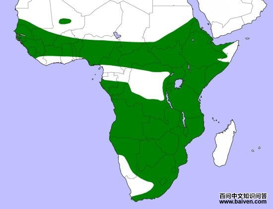 �Ƶ��^�������ֲ�ͼ