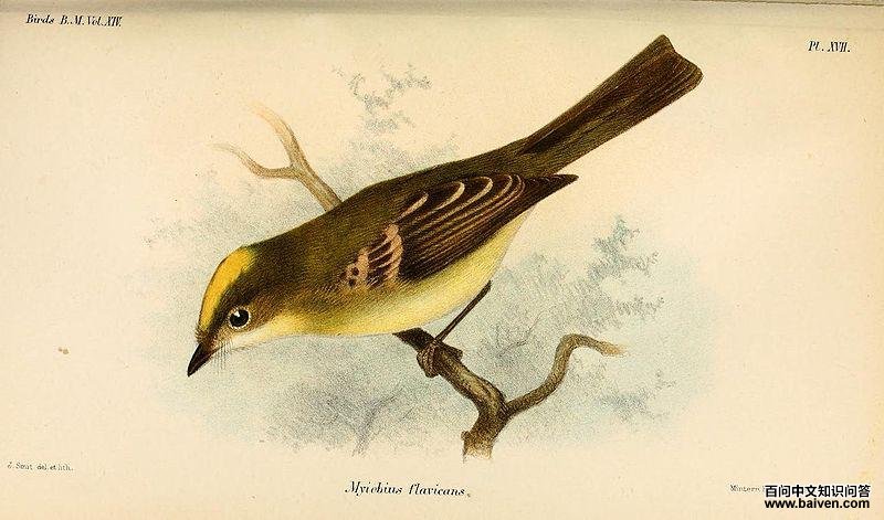 �ư߳���l��ͼƬ