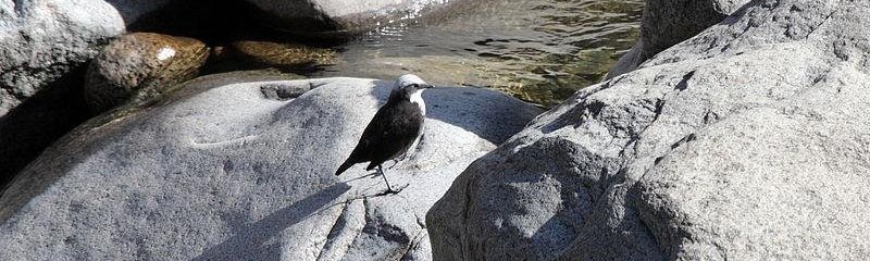 �׶����ڵ�ͼƬ