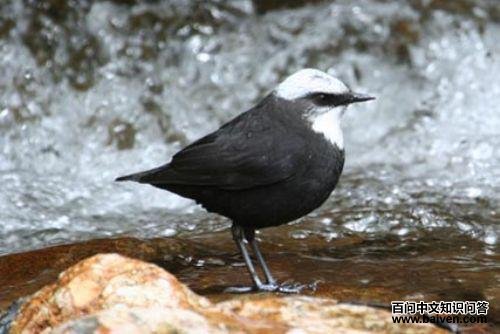 �׶�����