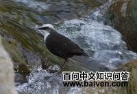 �׶�����