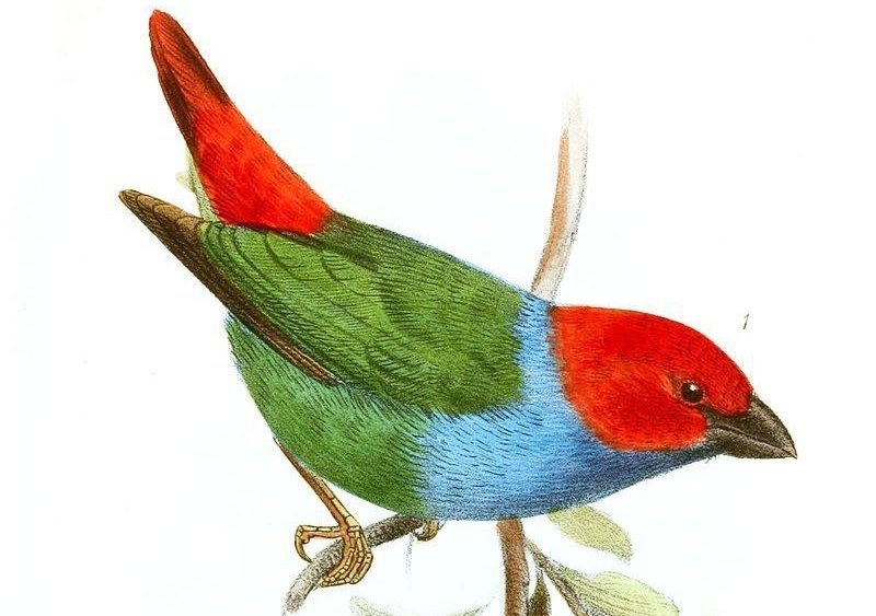 ����ȸ��ͼƬ