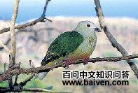 �׶�����ͼƬ