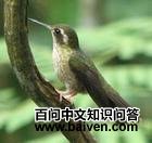 ��������ͼƬ