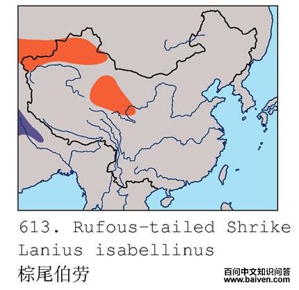 ��Į���ͣ���β���ͣ��������ֲ�ͼ