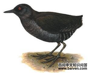 �ĵ�������ͼƬ