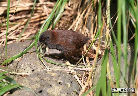 �ĵ�����