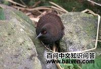 �ĵ�����