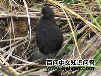 �ĵ�����